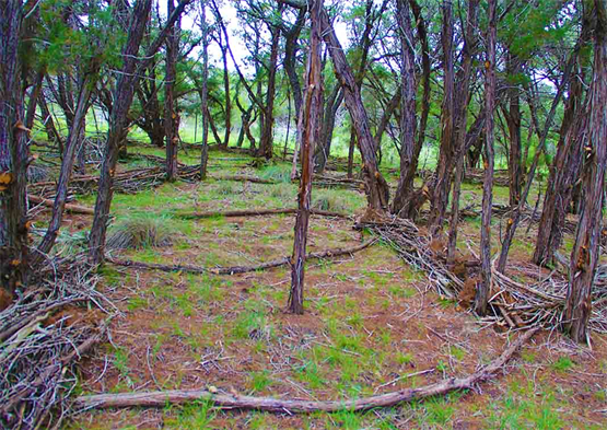 Austin Landscape Art Gallery