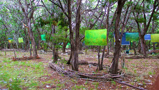 Austin Garden Designer & Visual Artist.